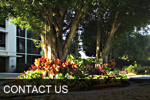 Contact us!