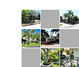 Our Projects