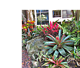 Our Services